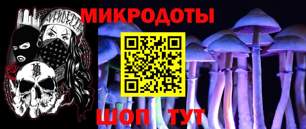 Ангарск  Галлюциногенные грибы Psilocybine cubensis  Вход с VPN 